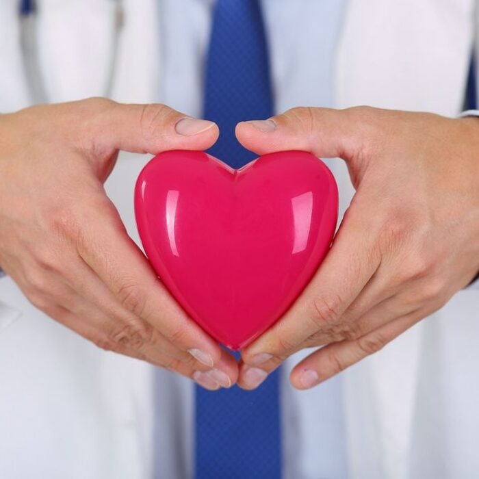 Male medicine doctor hands holding red toy heart in front of his chest closeup. Concept of misconceptions about rapid detox.