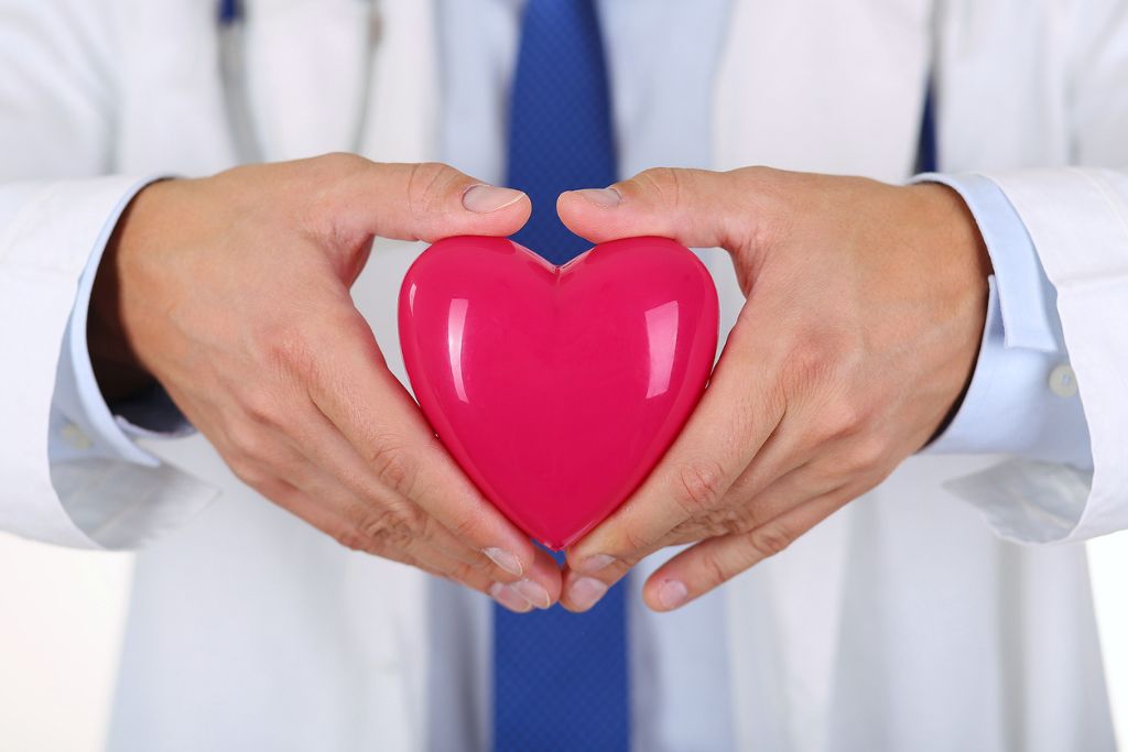 Male medicine doctor hands holding red toy heart in front of his chest closeup. Concept of misconceptions about rapid detox.