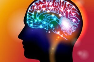 Profile of a human head with a colorful symbol of neurons in the brain. Concept of endorphins and dopamine.