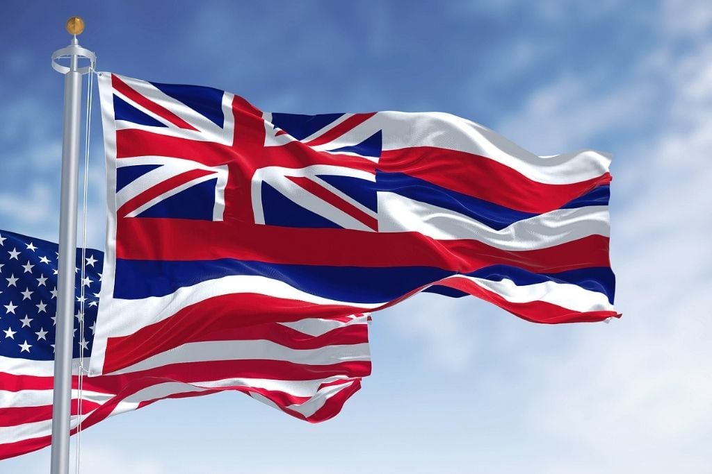 Photo of the Hawaii state flag waving along with the national flag of the United States of America. Concept of rapid detox in Hawaii.